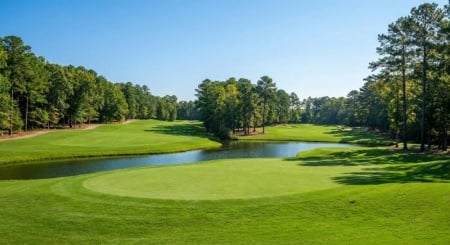 Comp&eacute;titions de golf : formats dames, seniors et priv&eacute;s expliqu&eacute;s